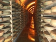 cheese maturing